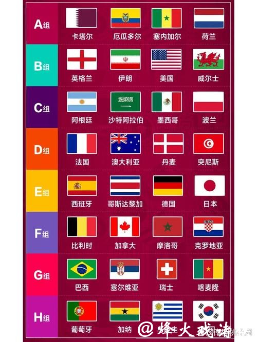 “全面解析世界杯赛程及最新比赛结果”